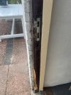 IMG_5919.jpeg