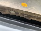 IMG_5087.jpeg