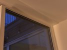 IMG_1345.jpeg