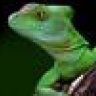 ThunderLizard