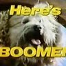 Scrat-Boomer