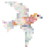 Colombe