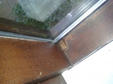 100001_20121231_102314_1.jpg