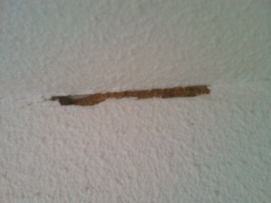 10006_IMAG0025_1.jpg