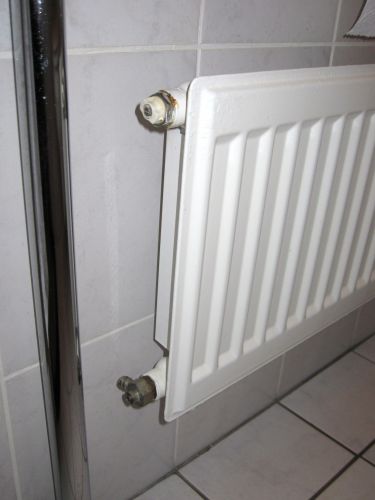 100362_IMG_9253_2.jpg
