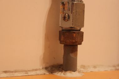 100610_IMG_3452_2.jpg
