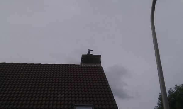 100643_IMAG0885_1.jpg
