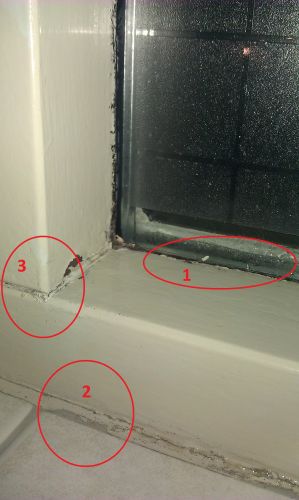100742_IMAG0265_1.jpg
