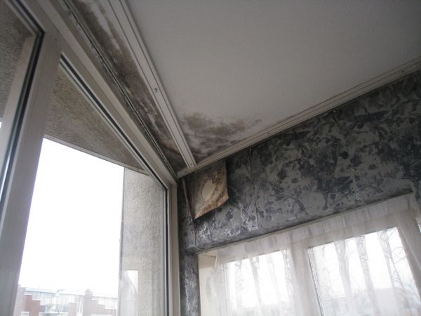 101369_IMG_1474_1.jpg