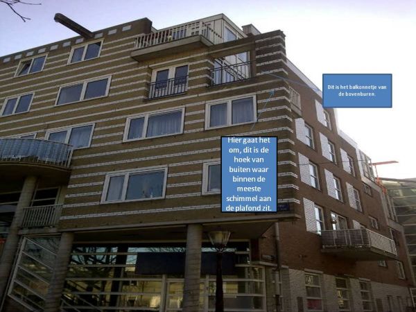 101369_hildebrand_met_tekst1_1.jpg