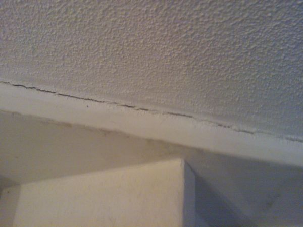 101443_WP_000143_1.jpg
