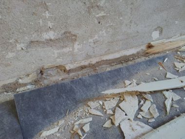 10198_01_1.jpg