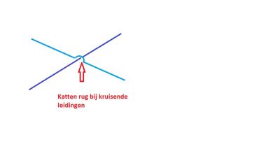 10198_kattenrug_1.jpg