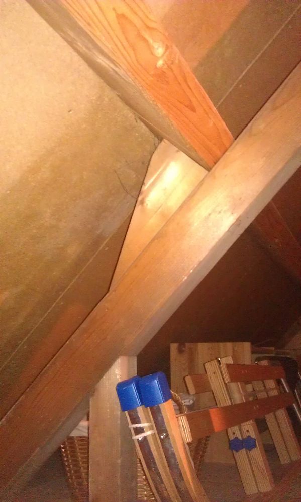 102012_detail3_1.jpg
