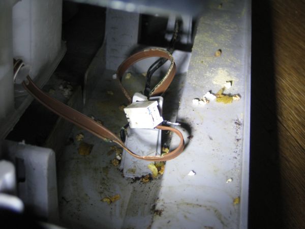 102143_IMG_4565_1.jpg