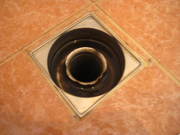 102168_IMG_9577_1.jpg