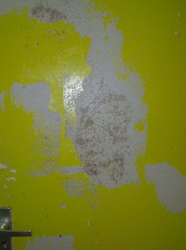 102320_deur1_1.jpg