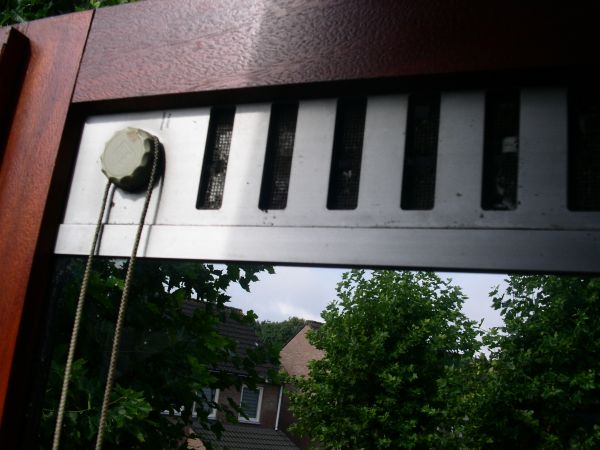 103344_PICT0014_2.jpg