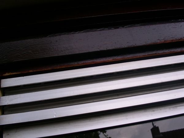 103344_PICT0016_1.jpg
