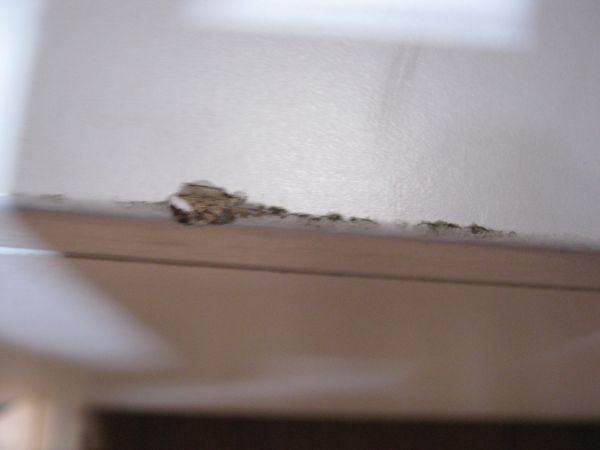 103487_IMG_0490_2.jpg