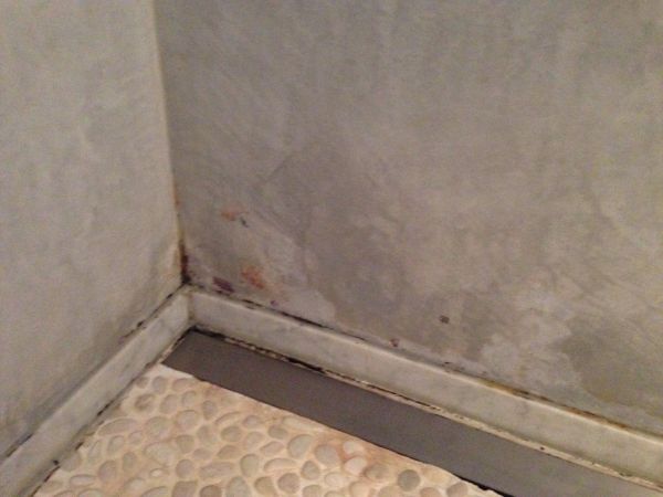 103568_image_1.jpg