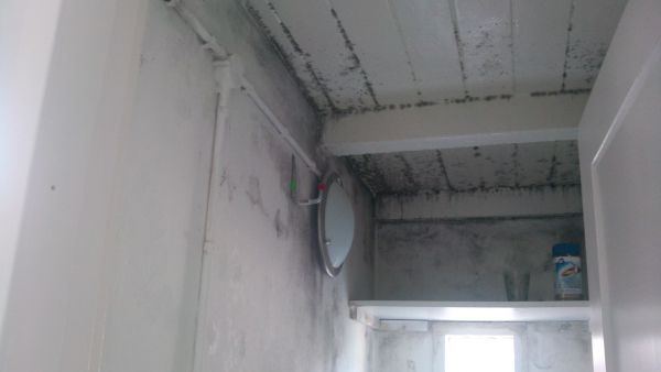 103892_IMG_20140312_135532_1.jpg