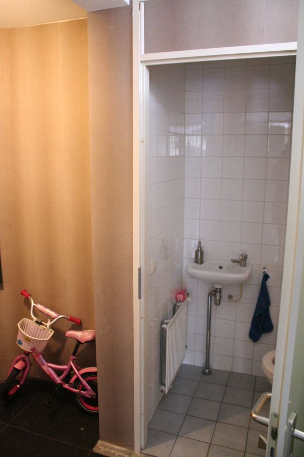 104148_toilet1_2.jpg