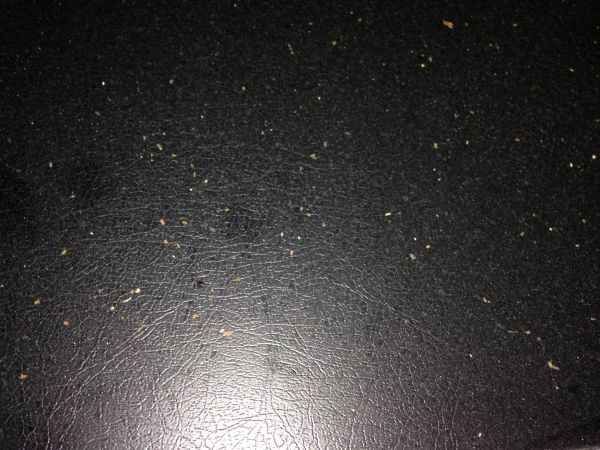 104232_IMG_05591_1.jpg