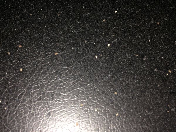 104232_IMG_05611_2.jpg
