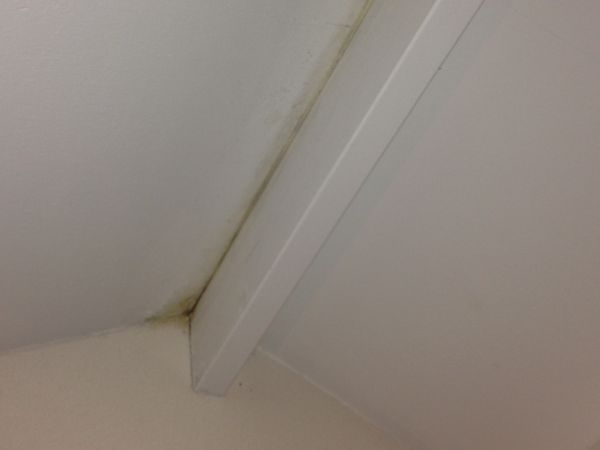 104232_IMG_05641_2.jpg