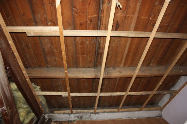 104255_IMG_0238_1.jpg