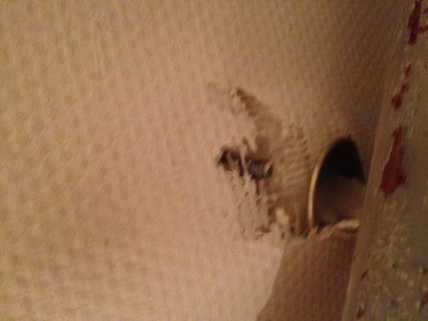 104333_foto_1.jpg