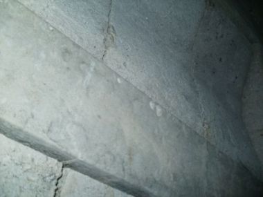 10437_P4170008_1.jpg