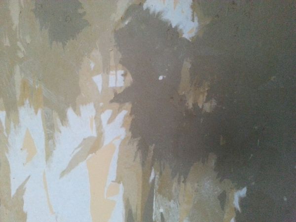 104500_20131215_092920_1.jpg