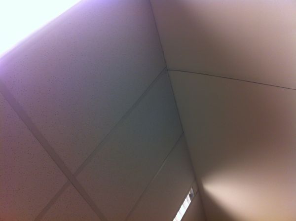 104536_image_1.jpg