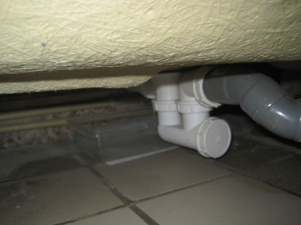 104875_IMG_4411_1.jpg