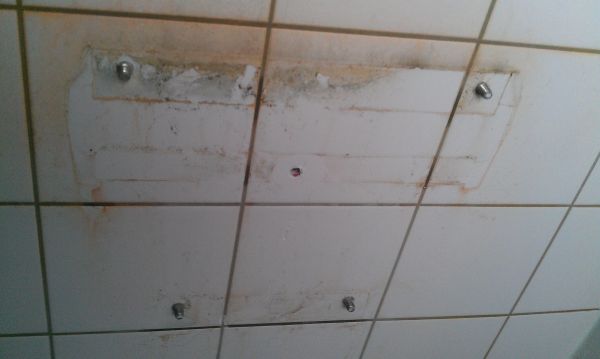 104983_1_1.jpg