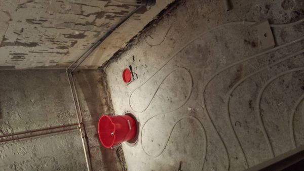 105095_20140127_191954_1.jpg