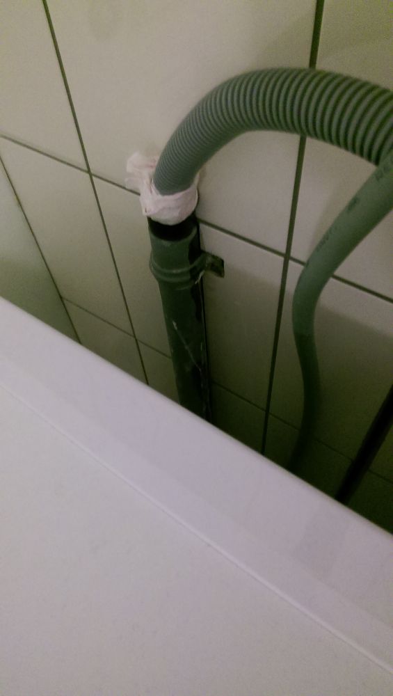105280_IMAG0271_1.jpg