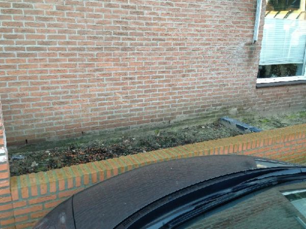 105376_verhoogde_bak_1.jpg