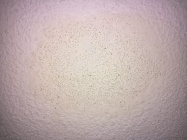 10543_IMG263_1.jpg