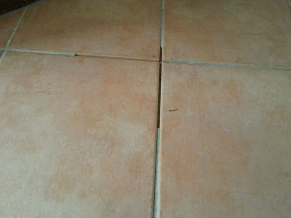 105692_20140426_104034_1.jpg