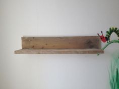 105714_plank_1.jpg