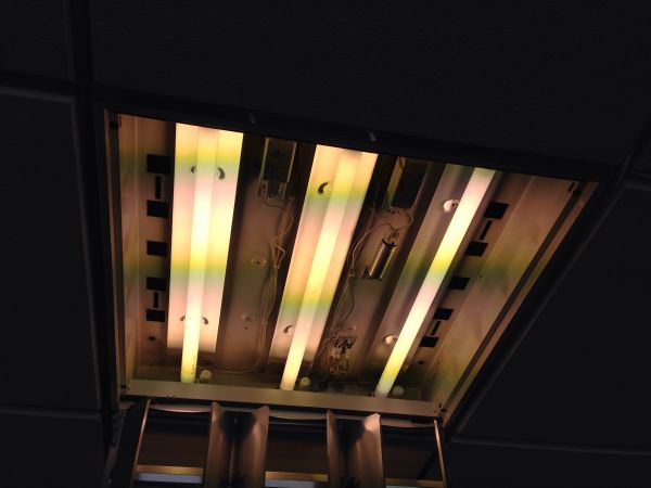 105947_image_5.jpg