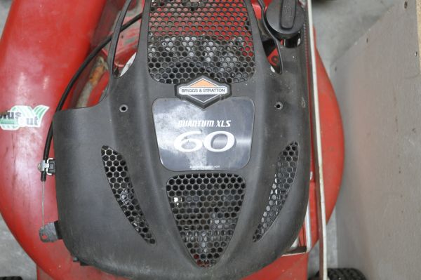 106189_Briggs_and_Stratton_1.jpg