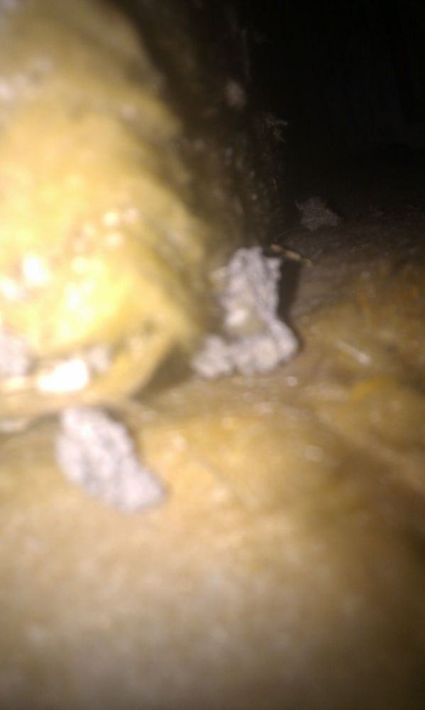 106492_IMAG0107_1.jpg