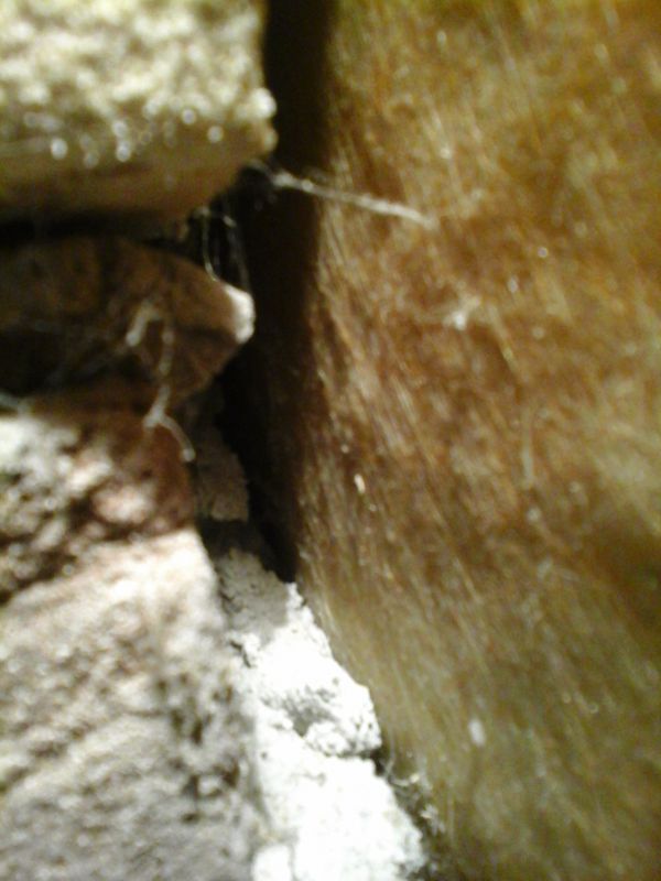 106492_photoaf_2_2.jpg
