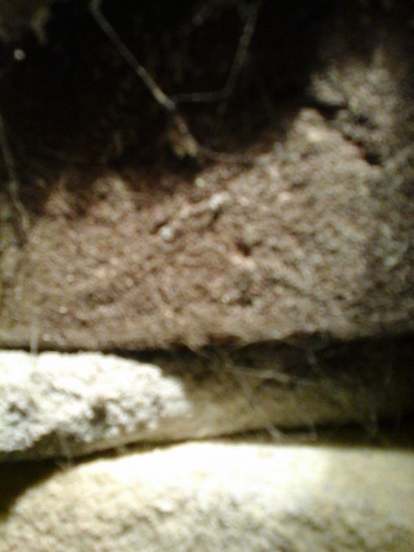 106492_photoaf_3_2.jpg