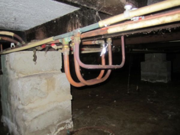 107093_IMG_7038_1.jpg
