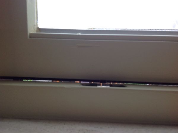 107373_image_5.jpg